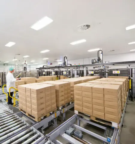 Production Process Management